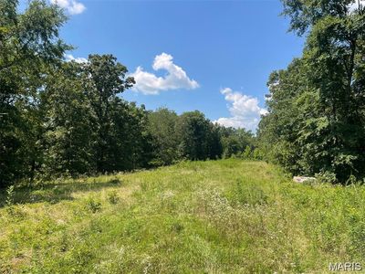 0 County Road 478, Poplar Bluff, MO, 63901