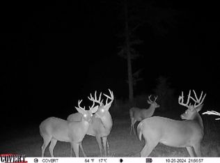 Lindsey Rd N LOT WP001, Fulton, MS 38843