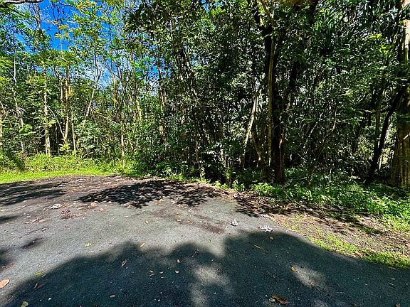 4th image of 15-2681 Manalo St Lot 1