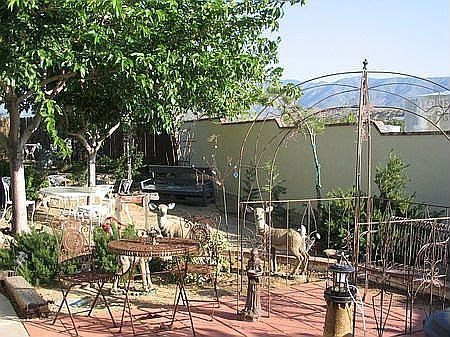 South Yrd - Sun Garden