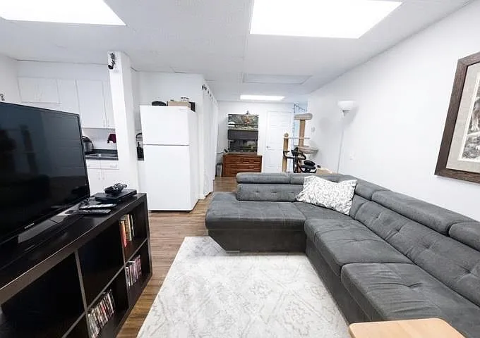 384 Blue Mountain St #BASEMENT — Photo 11