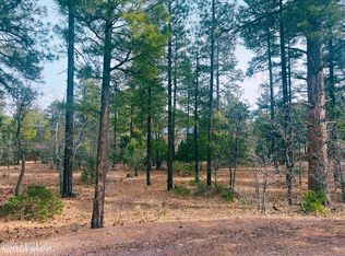 6331 E Starlight Ridge Rd #19, Lakeside, AZ 85929