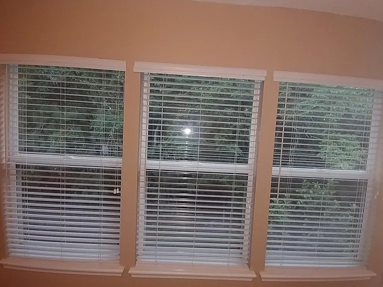 3528 Twisted Tree Ln — Photo 20