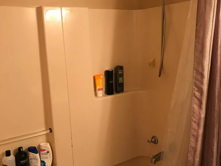 1462 Spreading Oak Dr — Photo 11