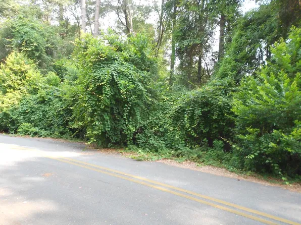 502 Patricia Dr, Montezuma, GA 31063