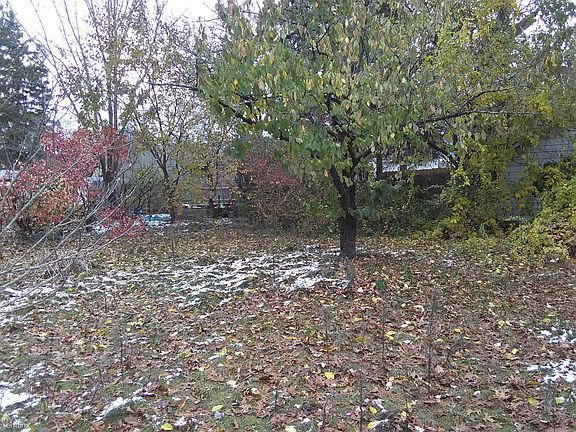 Fenced In Backyard