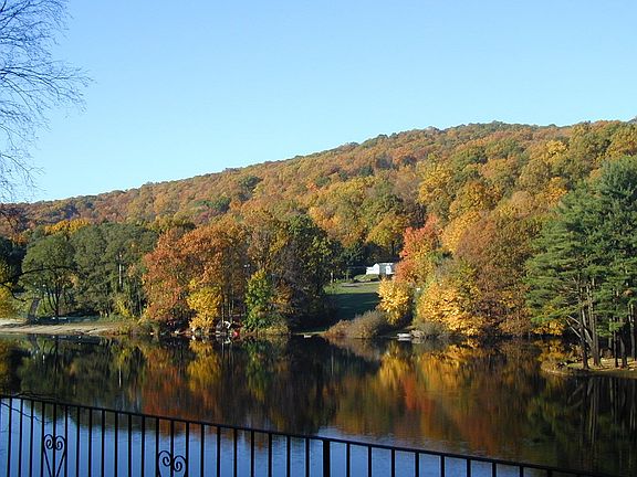 2nd image of 21 Schuyler Ln