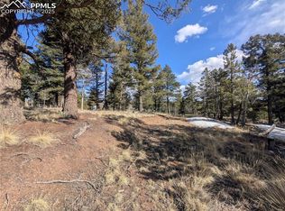 56 Rampart Cir, Florissant, CO 80816