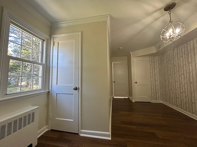 12 Rodney Rd — Photo 16