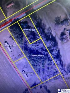 E Bazen Rd, Pamplico, SC, 29583