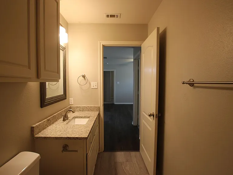 6021 Morning Mist Dr — Photo 33