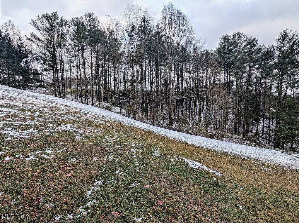 0 McGregor Dr, Sutton, WV 26601 | MLS #5087884 | Zillow