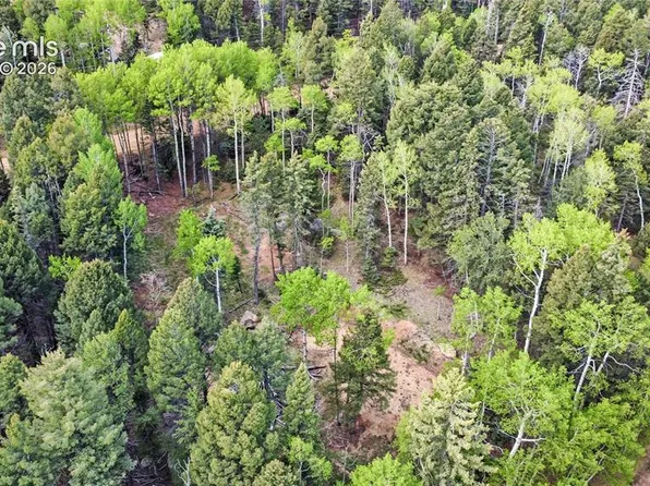 714 Will Stutley Dr, Divide, CO 80814