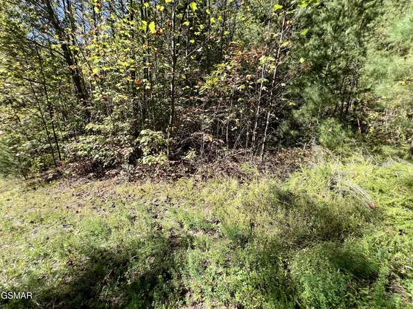 561 Creek Hollow Way Lot 2000, Sevierville, TN 37876