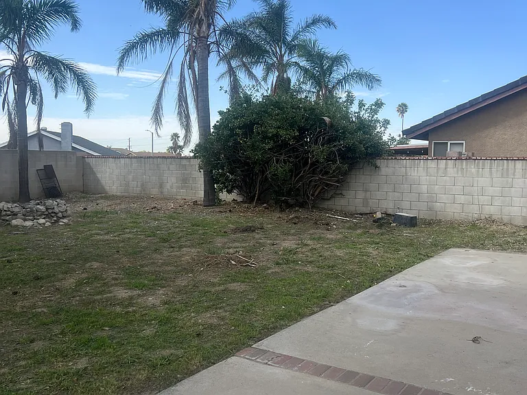 large backyard