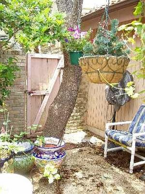 5th image of 11709 TALL TREE #0