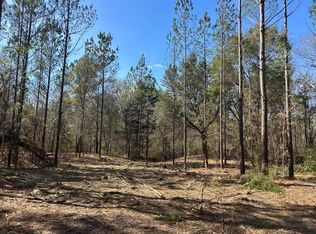 2-20 Ac Phillips Rd, Cottonwood, AL 36320