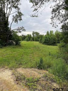 14828 County Road 496, Tyler, TX, 75706