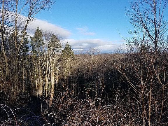 Looking out towards Lake 