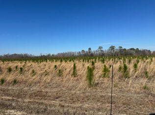 2000-2 Sellers Rd, Baxley, GA 31513