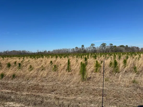 2000-2 Sellers Rd, Baxley, GA 31513