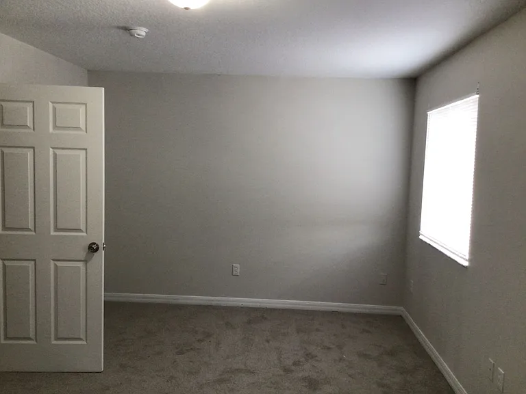 3908 Magnolia Pointe Ln — Photo 13