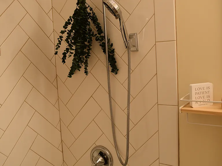 Main floor bathroom shower/tub