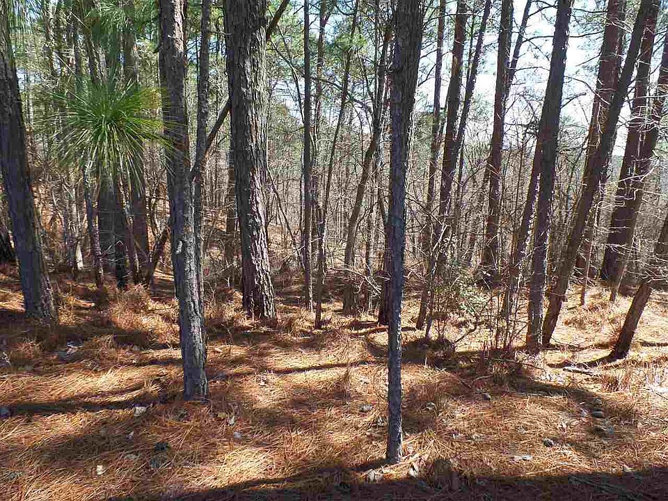2nd image of TBD S Glenwood Trail LOT 1