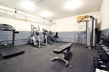 Rented by Bold New York