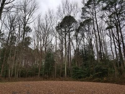 41 Green Ash Ct, Roanoke Rapids, NC, 27870