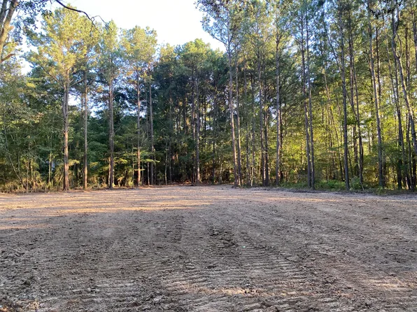 Cottage View Dr, Ellisville, MS 39437