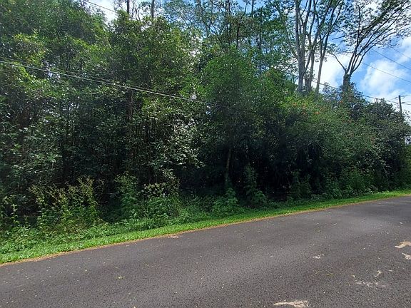 2nd image of Honu St Lot 321