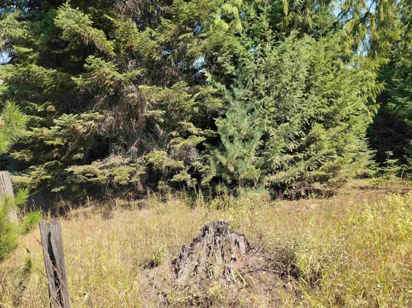 2 Hjalmar Johnson Rd, Weippe, ID 83553