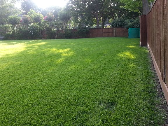 End of Back Yard and Fence