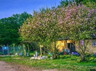 3640 Vz County Road 4907, Ben Wheeler, TX 75754