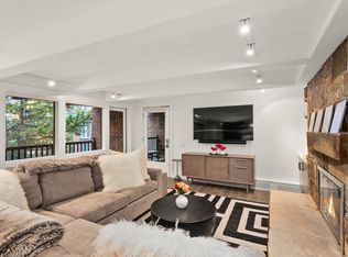 124 W Hyman Ave APT 3D, Aspen, CO 81611