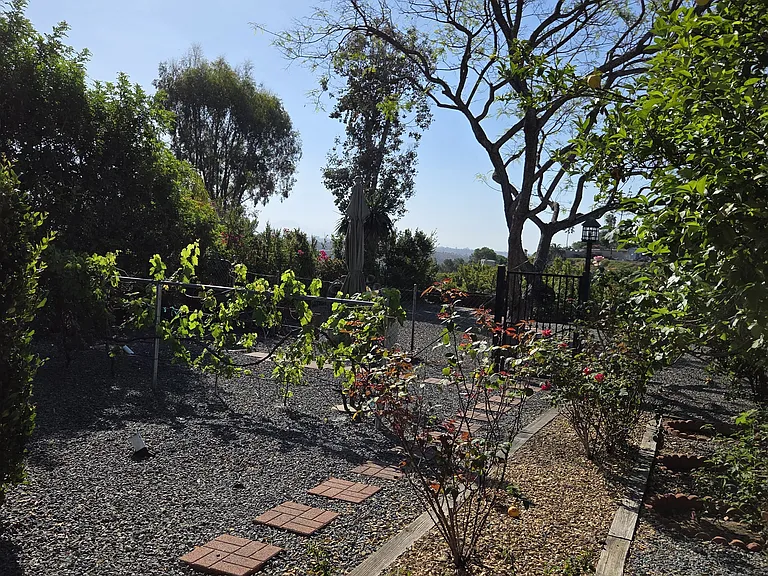 Lower backyard with garden