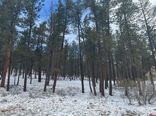 202 Pine Tree Dr, Bayfield, CO 81122