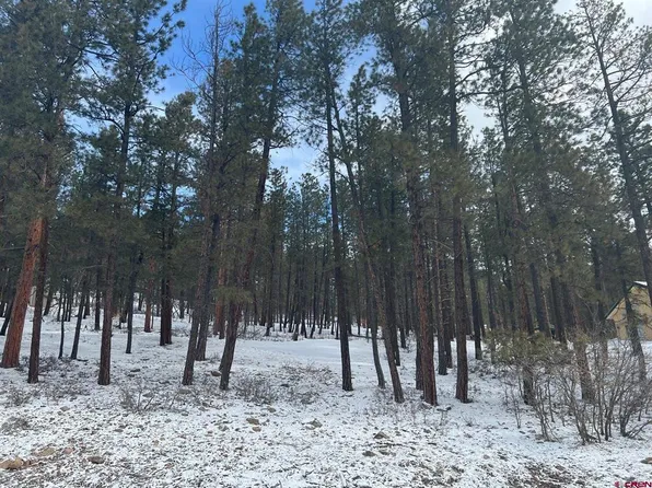 Lot 202 Pine Tree Drive, Bayfield, CO 81122