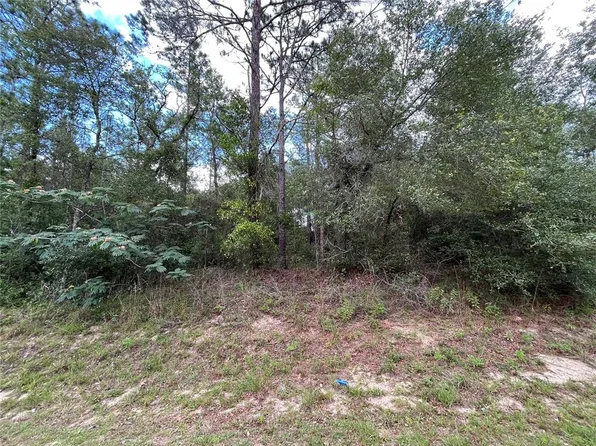 7059 Clemson St #19, Keystone Heights, FL 32656