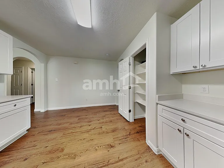 12006 Jillian Crossing Dr — Photo 4