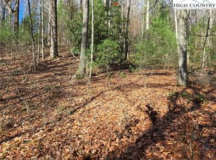 Lot 24 Riverstone, Laurel Springs, NC 28644