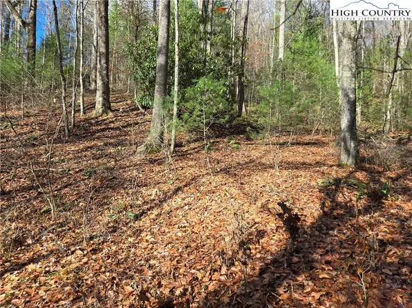 Lot 24 Riverstone, Laurel Springs, NC 28644