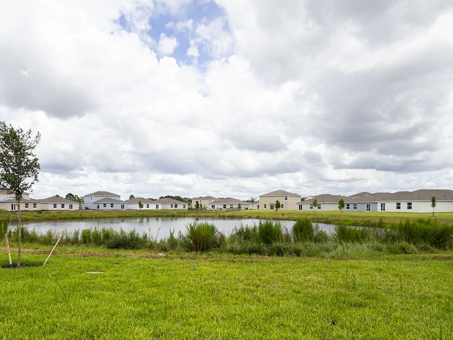 12125 Orchard Grove Way — Photo 4