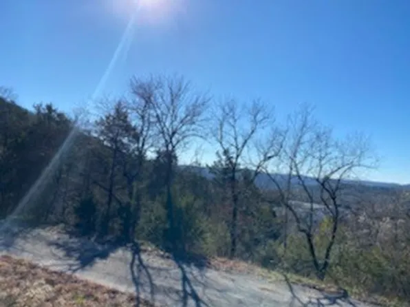 12 Lakeview Ln #29, Eureka Springs, AR 72631