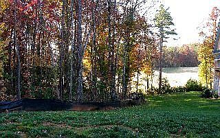 Lot (wooded)