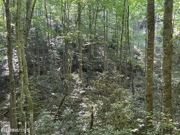 LOT 70 Hazelnut Ln, Sevierville, TN 37876