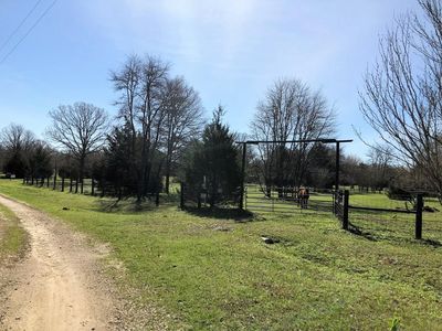 12140 County Road 2481, Oakwood, TX, 75855