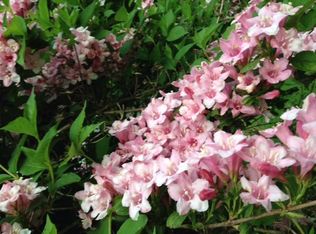 2157 State Route 56, Spring Church, PA 15686