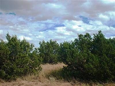 South Rim Ranch planned comm